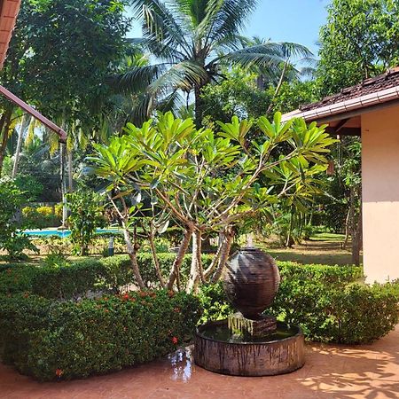 King Coconut Lodge Habaraduwa Central Exterior foto